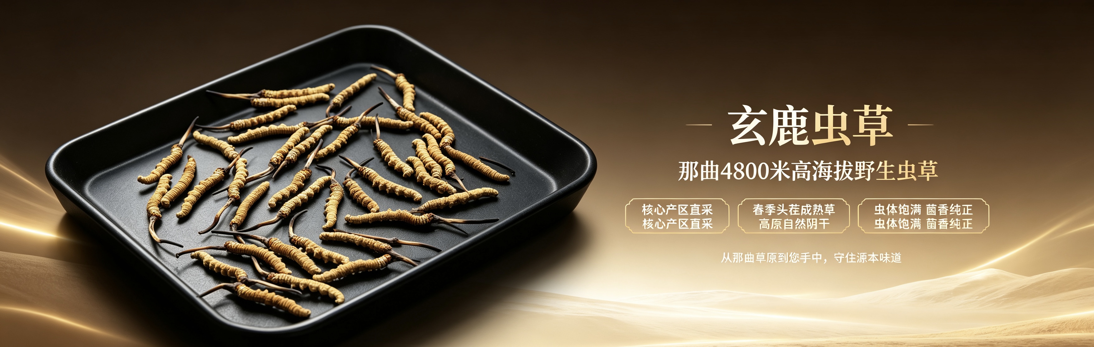 玄鹿虫草